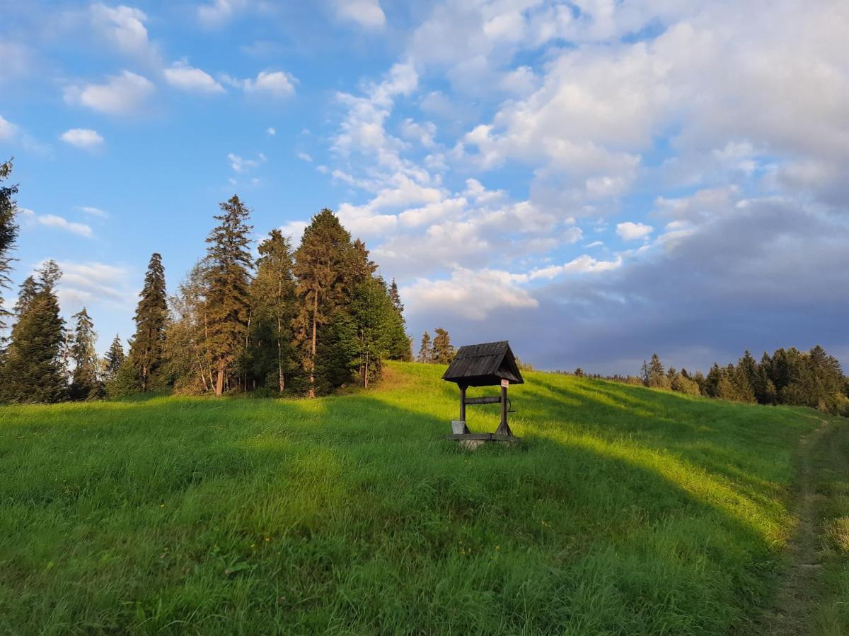 Domek Na Szlaku Rikardo Ponice Екстер'єр фото