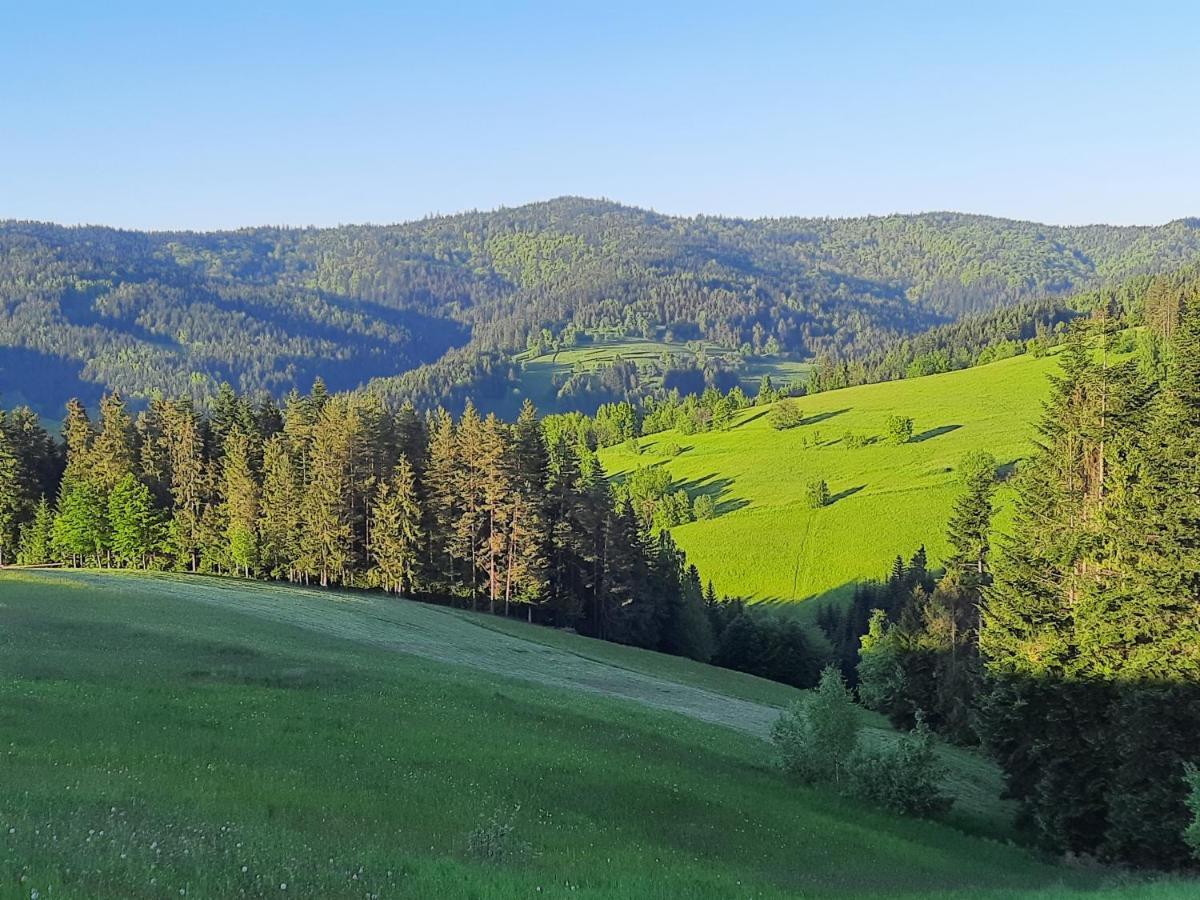 Domek Na Szlaku Rikardo Ponice Екстер'єр фото